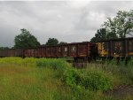 CSX 915238